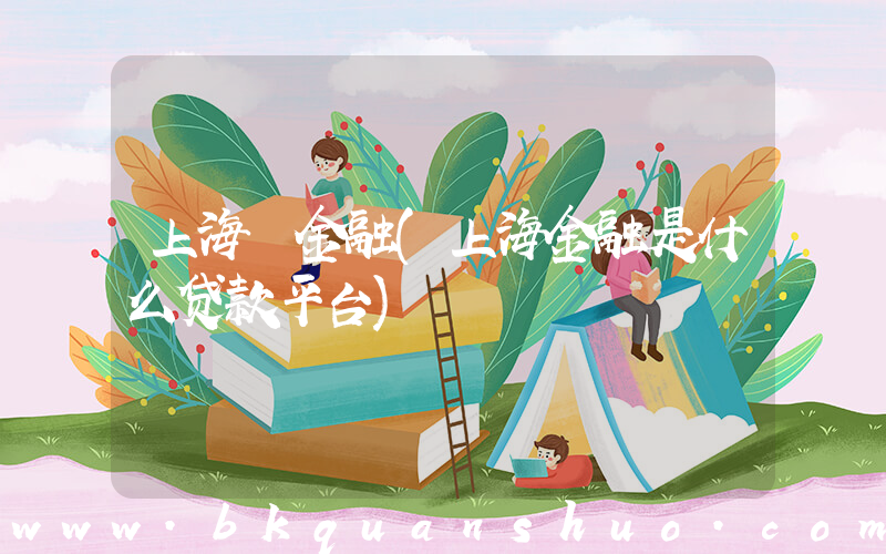 上海 金融(上海金融是什么贷款平台)